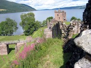 Gallia photo 13