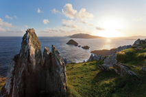Gallia photo 10