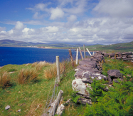 Gallia photo 5